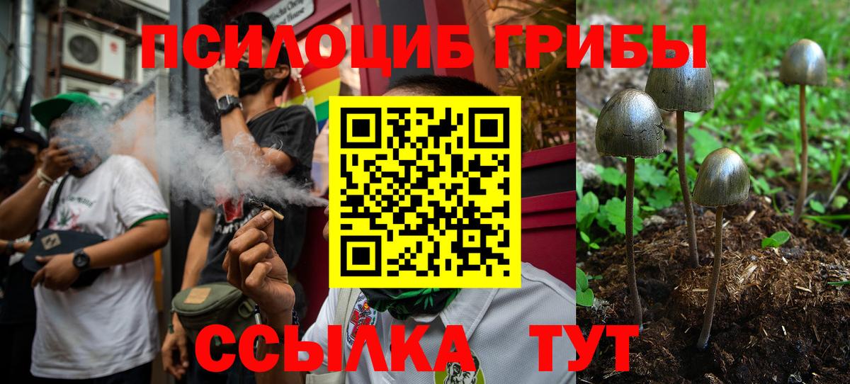 Псилоцибиновые грибы Psilocybine cubensis  Вход с VPN  Новокубанск 