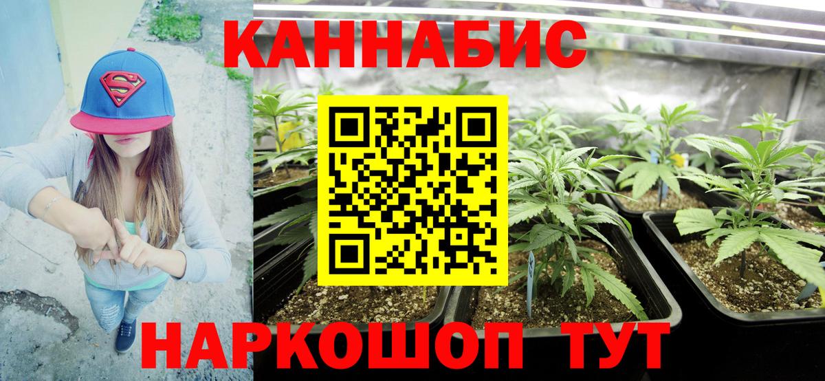 Новокубанск  МАРИХУАНА план  Каннабис White Widow  Каннабис OG Kush  Вход с VPN 